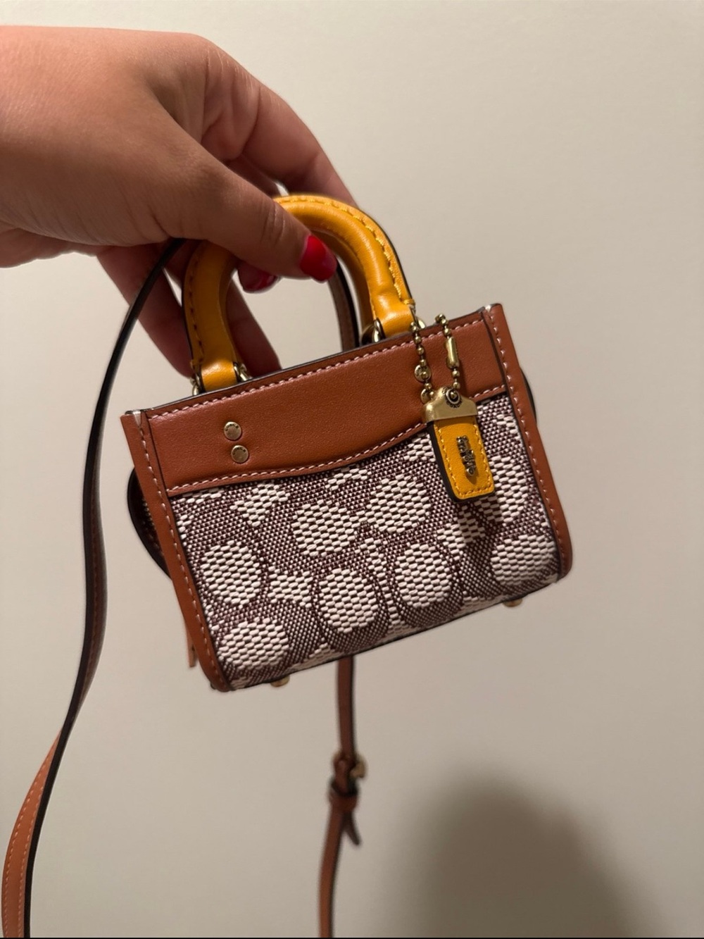 Coach Mini Crossbody Bag